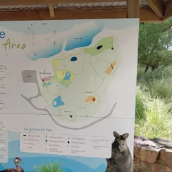 Valley Lake Conservation Park - Mount Gambier