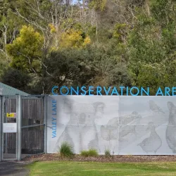 Valley Lake Conservation Park - Mount Gambier