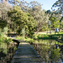 Valley Lake Conservation Park - Mount Gambier