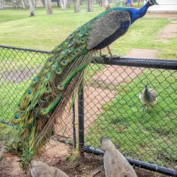 Lake Moondarra - Mount Isa