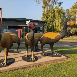 Mount Isa Art Gallery - Mount Isa