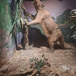 Mount Isa Art Gallery - Mount Isa