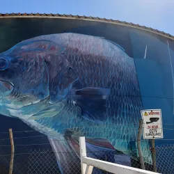 Mount Isa City Lookout - Mount Isa