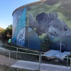 Mount Isa Mines Lookout - Mount Isa
