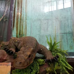 Outback at Isa - Mount Isa