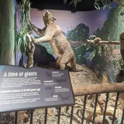 Riversleigh Fossil Centre - Mount Isa