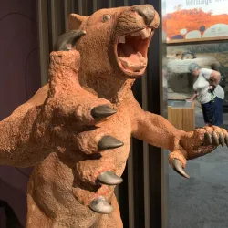 Riversleigh Fossil Centre - Mount Isa