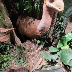 Riversleigh Fossil Centre - Mount Isa