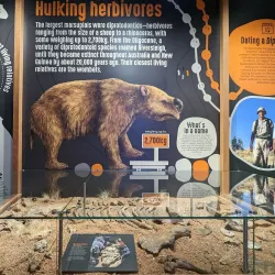 Riversleigh Fossil Centre - Mount Isa