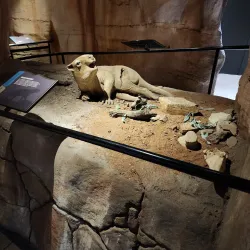 Riversleigh Fossil Centre - Mount Isa