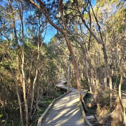 Balcombe Estuary - Mount Martha