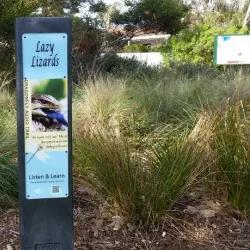 Balcombe Estuary - Mount Martha