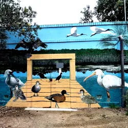 Balcombe Estuary - Mount Martha