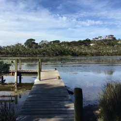 Balcombe Estuary - Mount Martha