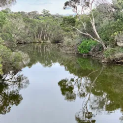 Balcombe Estuary - Mount Martha