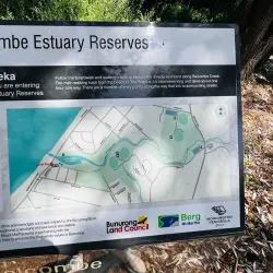 Balcombe Estuary - Mount Martha