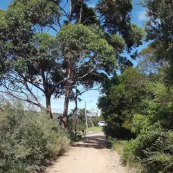 Balcombe Estuary - Mount Martha