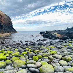 Mornington Peninsula National Park - Mount Martha