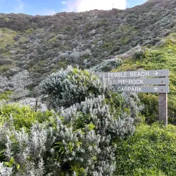 Mornington Peninsula National Park - Mount Martha