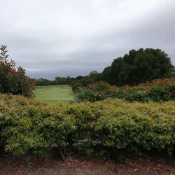 Mount Martha Golf Club - Mount Martha