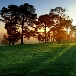 Mount Martha Village - Mount Martha