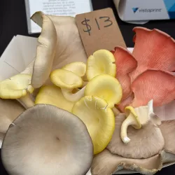 Red Hill Market - Mount Martha