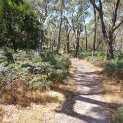 The Briars Park and Wildlife Sanctuary - Mount Martha