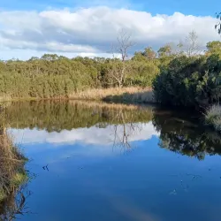The Briars Park and Wildlife Sanctuary - Mount Martha