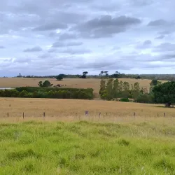 The Briars Park and Wildlife Sanctuary - Mount Martha