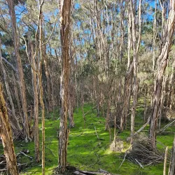 The Briars Park and Wildlife Sanctuary - Mount Martha