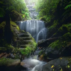 Blue Mountains National Park - Mount Victoria
