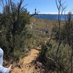 Lockley Pylon - Mount Victoria
