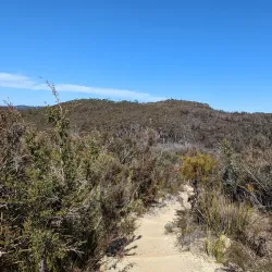 Lockley Pylon - Mount Victoria