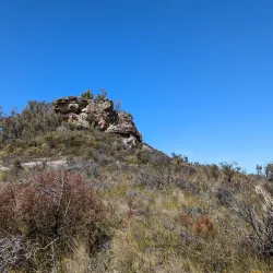 Lockley Pylon - Mount Victoria