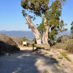 Mount Victoria Village - Mount Victoria