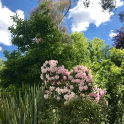 Mount Victoria Village - Mount Victoria