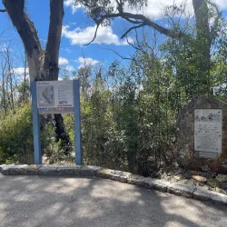 Mount York Lookout - Mount Victoria