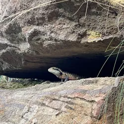 Victoria Falls - Mount Victoria