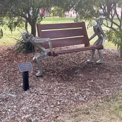 Cudgegong River Walk - Mudgee