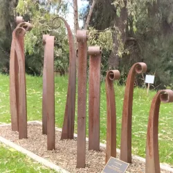 Cudgegong River Walk - Mudgee