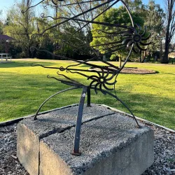 Cudgegong River Walk - Mudgee