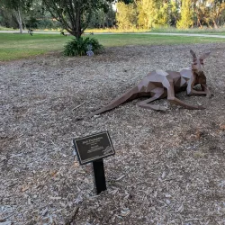 Cudgegong River Walk - Mudgee