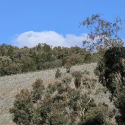Lake Windamere - Mudgee
