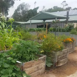 Murray Bridge Community Centre - Murray Bridge