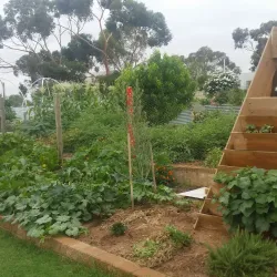 Murray Bridge Community Centre - Murray Bridge