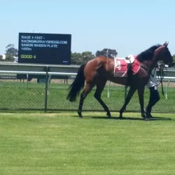 Murray Bridge Golf Club - Murray Bridge