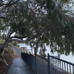 Murray Bridge Heritage Walk - Murray Bridge