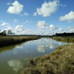 Murray Bridge Heritage Walk - Murray Bridge