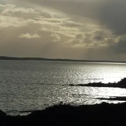 Murray Bridge Railway Station - Murray Bridge