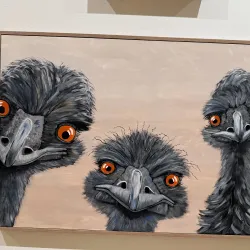 Murray Bridge Regional Gallery - Murray Bridge